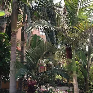 Constantaras Apartament